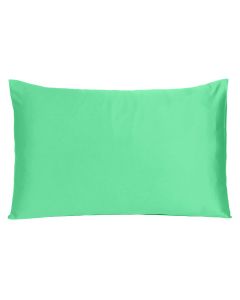 Green Dreamy Set Of 2 Silky Satin Standard Pillowcases