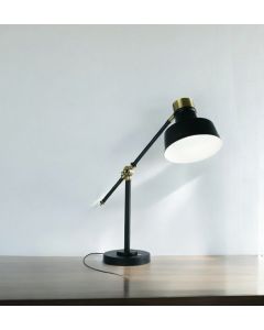 Matte Black and Antiqued Brass LED Adjustable Desk Lamp